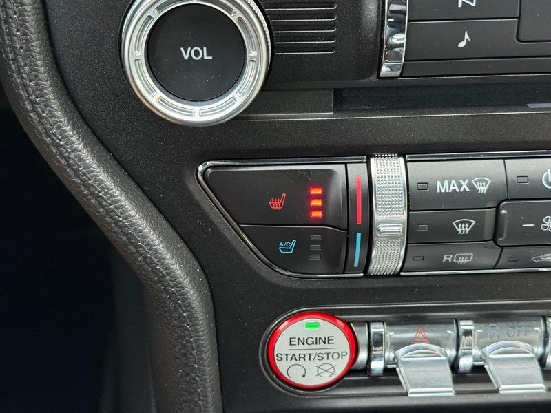 2015 Ford Mustang GT 50 Years Limited Edition