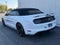 2019 Ford Mustang GT Premium CALIFORNIA SPECIAL CONVERTIBLE